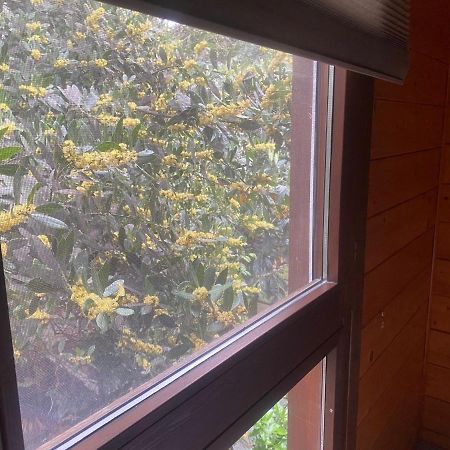 Apartamentos El Bosquet Sant Cugat del Vallès Exteriör bild